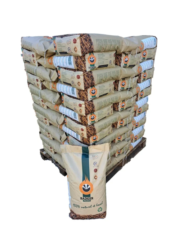 auto draft auto draft